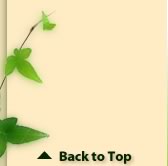 Five Sisters Lodge & Tours